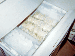 冷凍庫のギョーザ